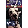 Buy National Geographic's Really Wild Animals: Hot Dogs and Cool Cats