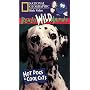 National Geographic's Really Wild Animals: Hot Dogs and Cool Cats [VHS]