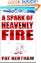 A Spark Of Heavenly Fire