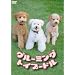 ���롼�ߥ󥰡��ȥ��ס��ɥ� [DVD]