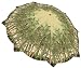 Asian Bamboo Forest Automatic Full-Size Stick Umbrella