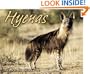 Hyenas (Animal Scavengers)