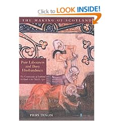 Puir Labourers and Busy Husbandmen: The Medieval Countryside of Scotland 100-1600 (The Making of Scotland)