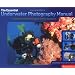 Underwater Photography
