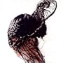 Who Is It 1