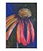 Responsive Botanical Giclee Poster Print by Michelle Leivan, 16x20