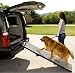 Pet Supplies : Pet Gear Portable Pet Ramp, Grey/Black