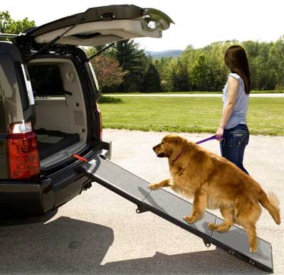 Childrens Toyshop  Pet Supplies : Pet Gear Portable Pet Ramp, Grey/Black