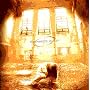 Fragments of D-Generation ~ Disarmonia Mundi
