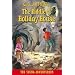 The Riddle of Holiday House (Young Adventurers)