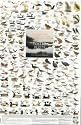Water Birds Poster: Birds of Europe's Wetlands (594x900mm)