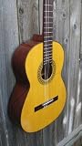 Francisco Navarro Classical Guitar