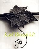 Karl Blossfeldt
