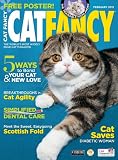 Cat Fancy (1-year)