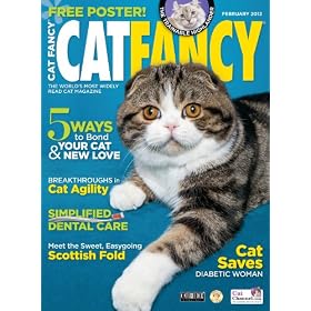 Cat Fancy (1-year)