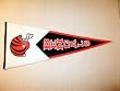 Cincinnati Bengals - NFL Football Classic (Pennants)