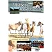 Horse & Pony DVDs