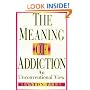 The Meaning of Addiction: An Unconventional View