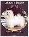 Havanese Champions, 1995-2003