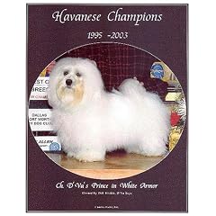 Havanese Champions, 1995-2003