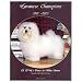 Havanese Champions, 1995-2003