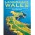 Landscape Wales