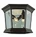 Trans Globe Lighting 4904 WH Outdoor San Marcos 6.5" Flushmount Lantern, White
