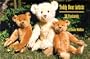 Teddy Bear Artists: 30 Postcards