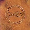 Fishbone 101: Nuttasaurusmeg Fossil Fuelin'