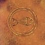 Fishbone 101: Nuttasaurusmeg Fossil Fuelin