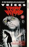 Voices from Beyond [VHS]