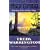 The Amber Citadel (Jewelfire Trilogy 1)
