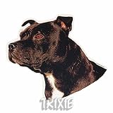 Eigenschaften Trixie  / Aufkl. Staffordshire Bullterrier, (K)