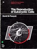 The reproduction of the eukaryotic cells