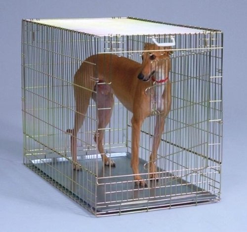 General Cage XX Large Gold Wire Folding Dog Crate