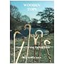 Wooden Tops: Guide to Carving Walking Sticks