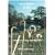 Wooden Tops: Guide to Carving Walking Sticks