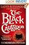 Black Cauldron (Chronicles of Prydain)