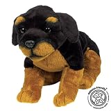 asthma friendly Rottweiler