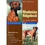 Rhodesian Ridgeback.
