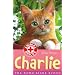 Charlie: The Home-alone Kitten (Animal Rescue)