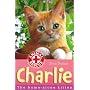 Charlie: The Home-alone Kitten (Animal Rescue)