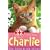 Charlie: The Home-alone Kitten (Animal Rescue)