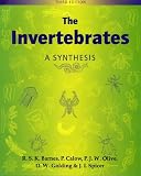 The Invertebrates: A Synthesis