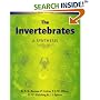 The Invertebrates: A Synthesis