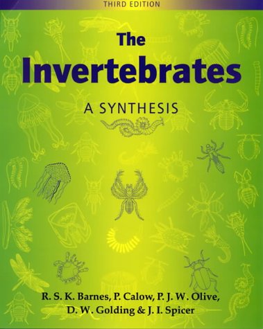 The Invertebrates: A Synthesis under The Books Store