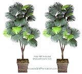 Two 6' Fan Palm Tripled Artificial Trees Silk Plants