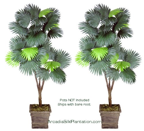 Two 6′ Fan Palm Tripled Artificial Trees Silk Plants
