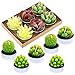 Swpeet 12Pcs Decorative Succulent Cactus Tealight Candles Kit, Cute Smokeless Succulent Plants Perfect for Candles Festival Wedding Props and House-Warming Party (N0.6-Candle)