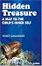 Hidden Treasure: A Map to a Child